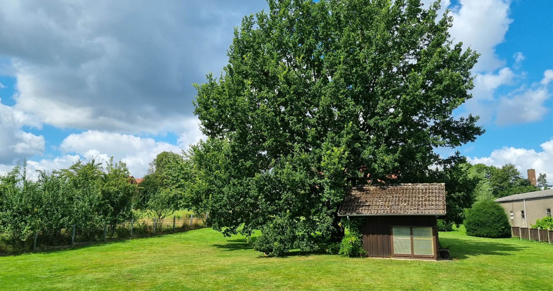 Ferienhaus Eggetal Garten